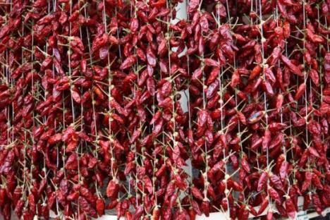 497f0019be582111329138