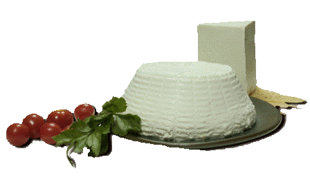 ricotta2a