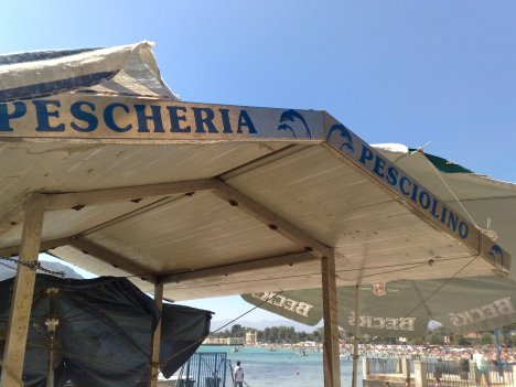 ... IL PESCIVENDOLO!