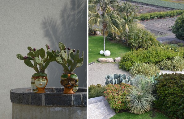 DSC_8590_BIS-595x386