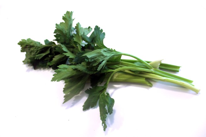 AF96E83F-A772-4134-87C7-05281BC9A689